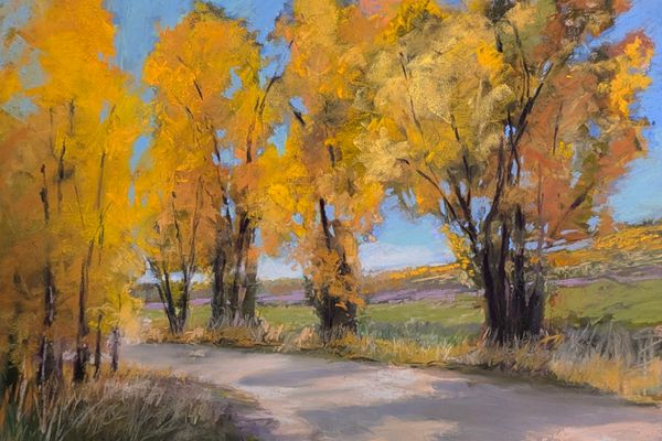 Autumn Colors in Steamboat Springs, Colorado