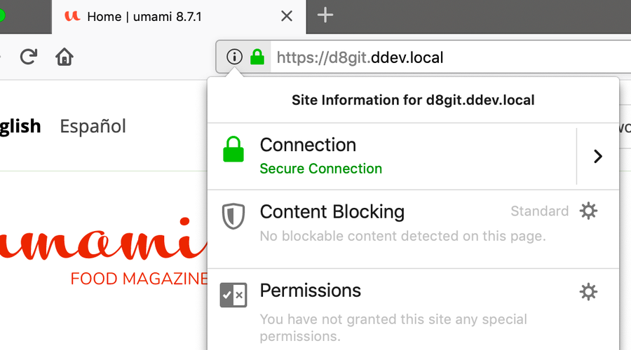 Screenshot of a browser showing a DDEV project with a secure HTTPS connection